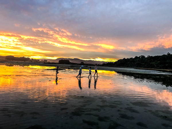 The Catlins & Oamaru