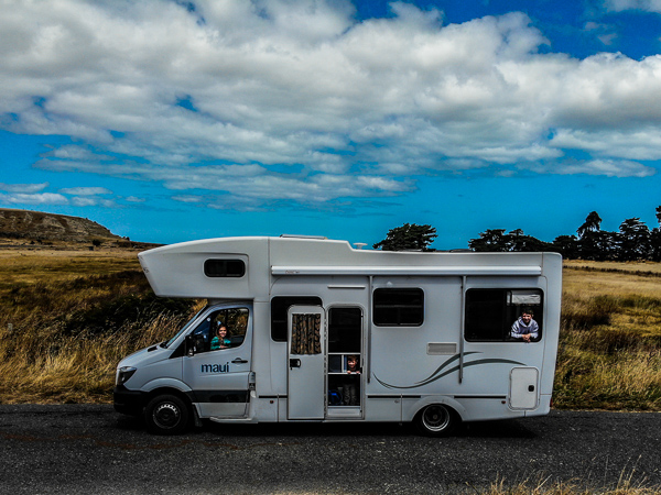 Alpacas, Akaroa & Christchurch