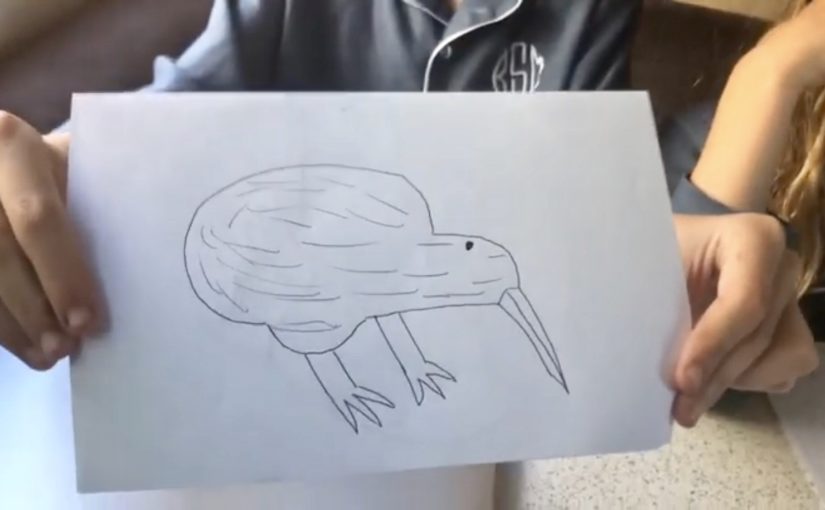 How To Draw A Kiwi